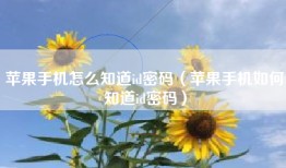 苹果手机怎么知道id密码（苹果手机如何知道id密码）