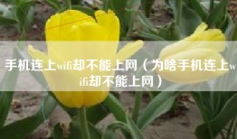 手机连上wifi却不能上网（为啥手机连上wifi却不能上网）