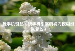 玩手机引起（玩手机引起的视力模糊能恢复么）