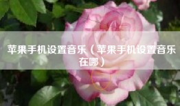 苹果手机设置音乐（苹果手机设置音乐在哪）