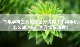 苹果手机怎么清理运行内存（苹果手机怎么清理运行内存垃圾清理）