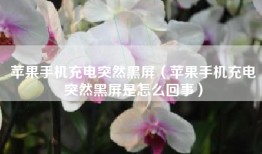 苹果手机充电突然黑屏（苹果手机充电突然黑屏是怎么回事）