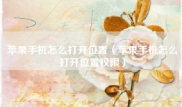 苹果手机怎么打开位置（苹果手机怎么打开位置权限）