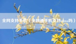 全网支持手机（全网通手机支持cdma吗）