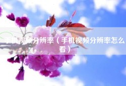 手机视频分辨率（手机视频分辨率怎么看）