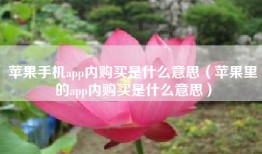 苹果手机app内购买是什么意思（苹果里的app内购买是什么意思）