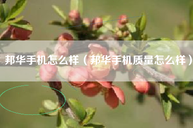 邦华手机怎么样（邦华手机质量怎么样）