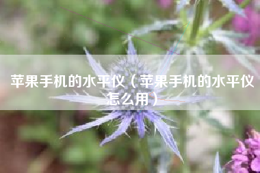 苹果手机的水平仪（苹果手机的水平仪怎么用）