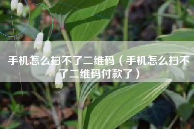 手机怎么扫不了二维码（手机怎么扫不了二维码付款了）