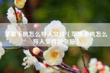 苹果手机怎么导入文件（苹果手机怎么导入文件到电脑）