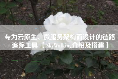 专为云原生、微服务架构而设计的链路追踪工具 【SkyWalking介绍及搭建】